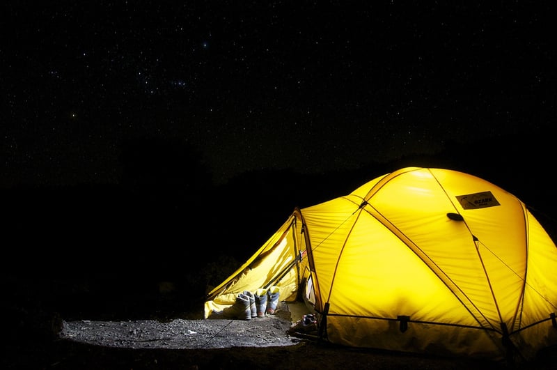 Wilderness Shelter